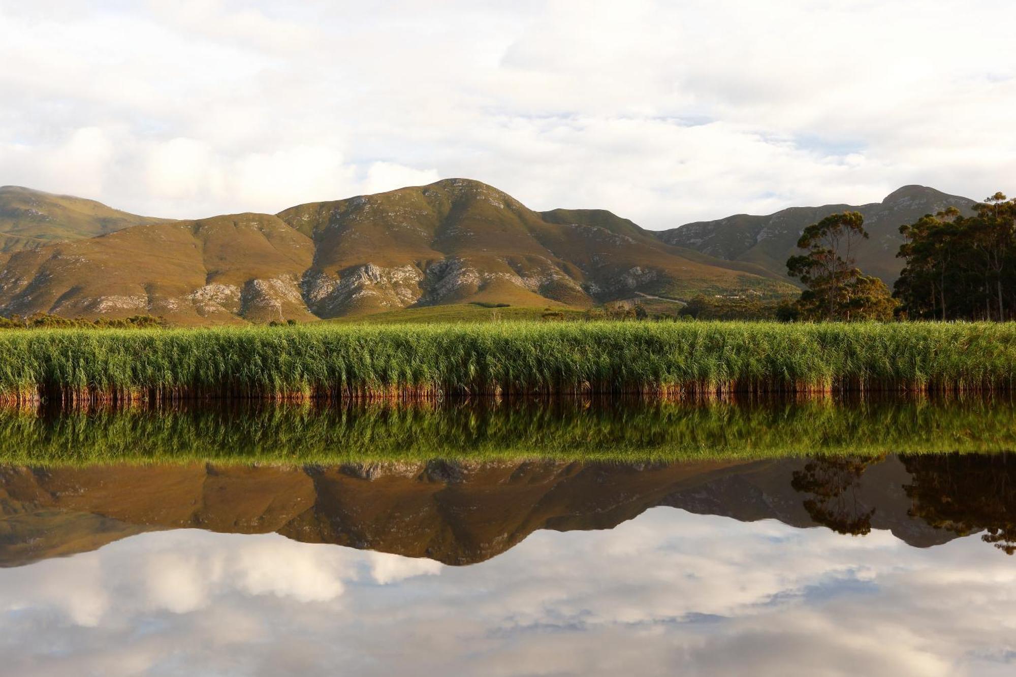Springfontein River Lodge Stanford Exteriör bild