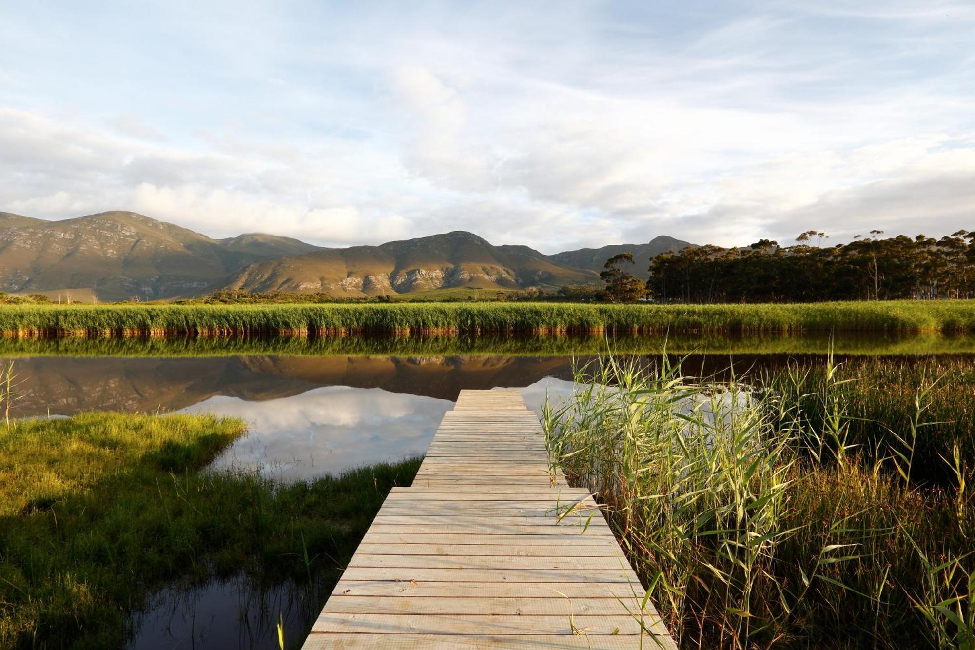 Springfontein River Lodge Stanford Exteriör bild