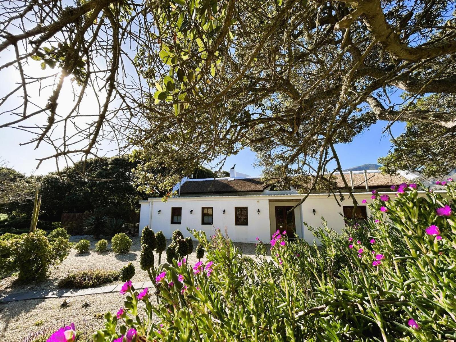 Springfontein River Lodge Stanford Exteriör bild